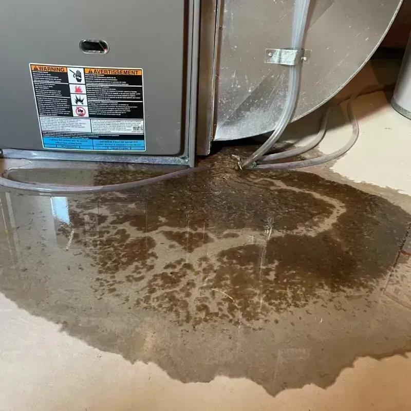 Appliance Leak Cleanup in Anderson, SC